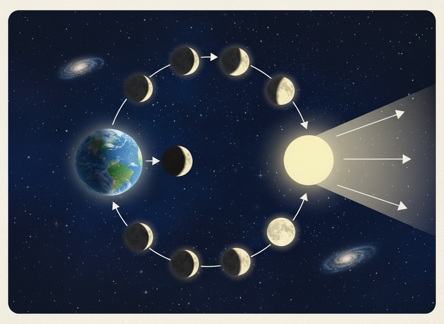 Educational illustration of the Moon phases, showing the Moon orbiting Earth with arrows indicating sunlight, and each phase labeled clearly (New Moon, Crescent, Quarter, Gibbous, Full), naturalistic, no text on image